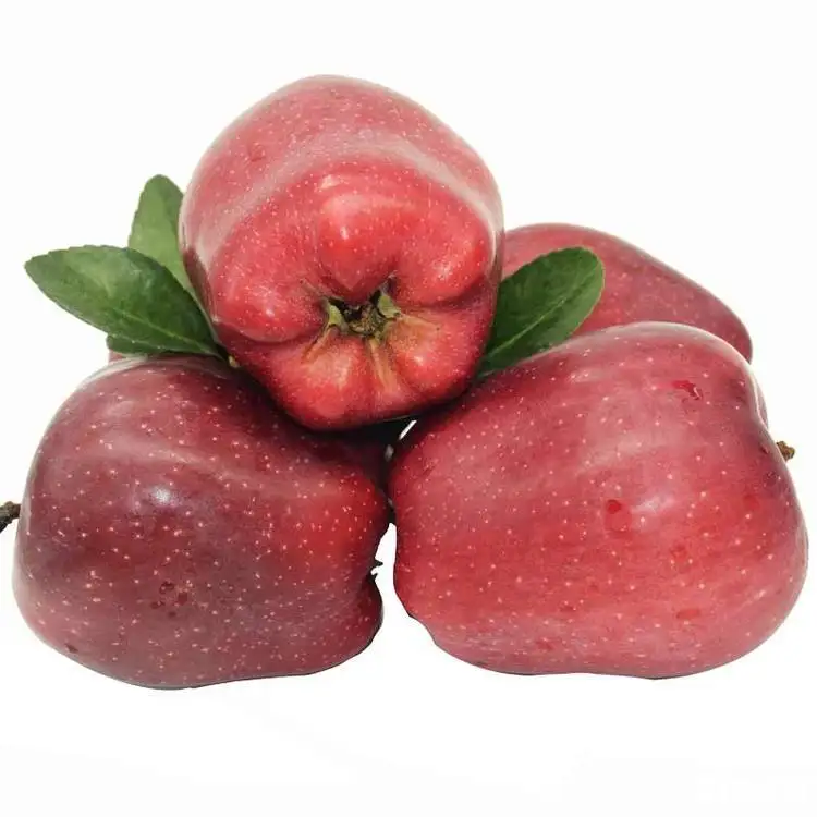 
Новые китайские поставщики, свежие сладкие яблоки, китайские Хрустящие яблоки 