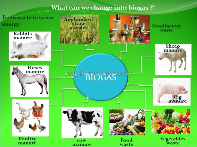 Small Home Biogas System