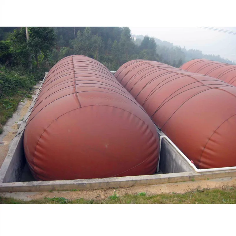 biogas plant for electricity biogas storage balloon bag equipment system bio digester for pig cow farm biogas conversion kit