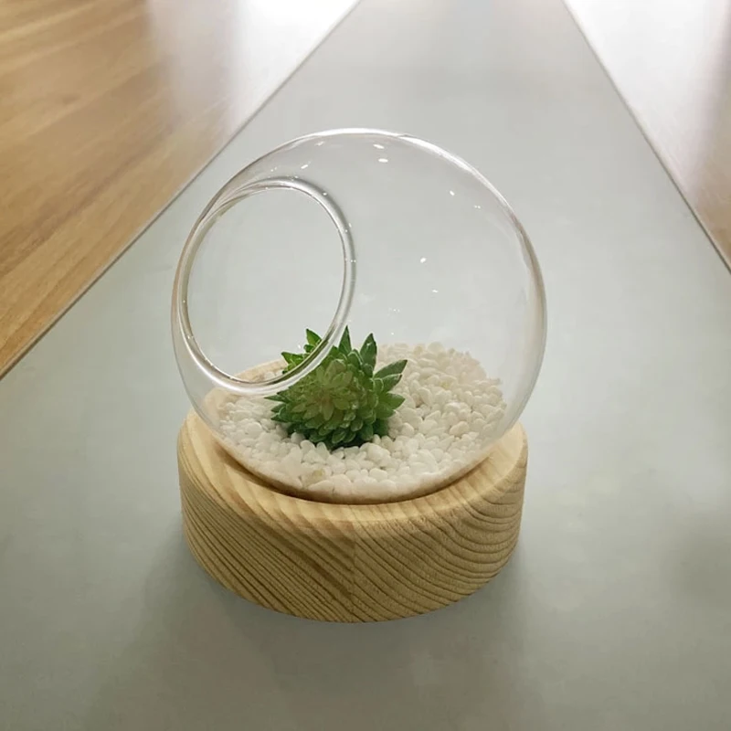 Выдувная стоящая круглая прозрачная стеклянная ваза для террариумов с отверстием и деревянным основанием