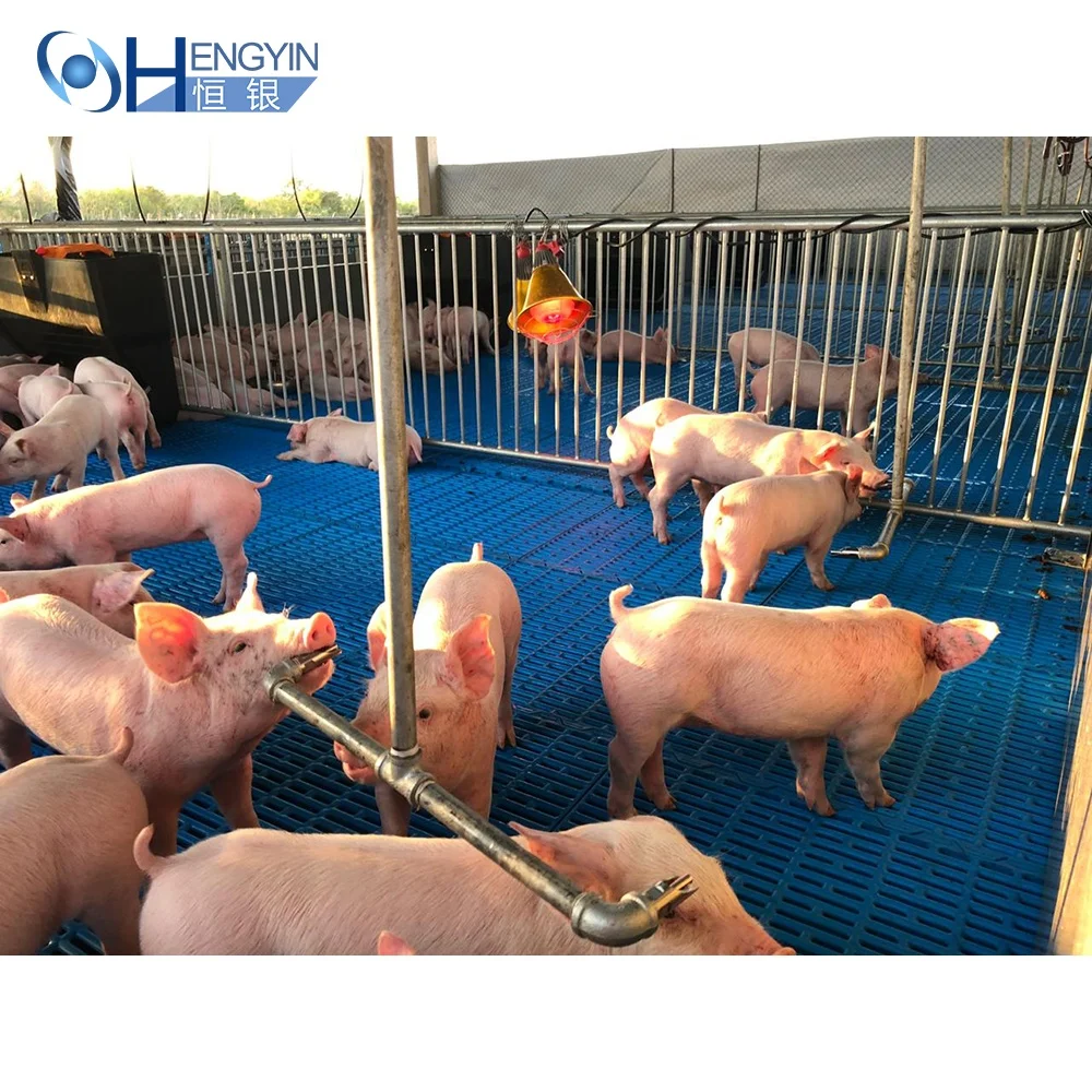 Best sell piglet slat floor pig use plastic slatted floor good quality pure PP plastic floor for pig