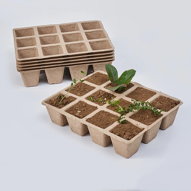 Best Selling Recycled Garden Starter Set for Herb & Flower Growing Includes Bonsai Planters & Pots
