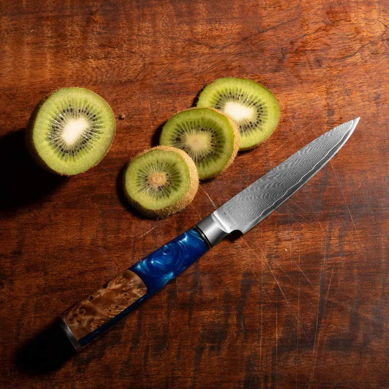 VG10 Damascus Steel Kitchen Knives Slicing Santoku Fruit Bread Steak Utility Chef Knife Set with Stable Wood + Resin Handle