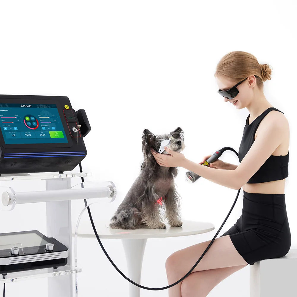 Smart ICE Laser Therapy Machine 30w-60w Class 4 Animals Laser Physiotherapy Treatment For Swelling Reduction And Pain Management