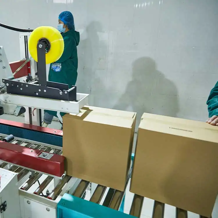 Wholesale Xinjiang Raw Dried Walnuts Halves Kernels For Sale walnut kernel walnut without shell