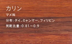 Hot sale sports PVC coating maintenance  rack bicycle display stand