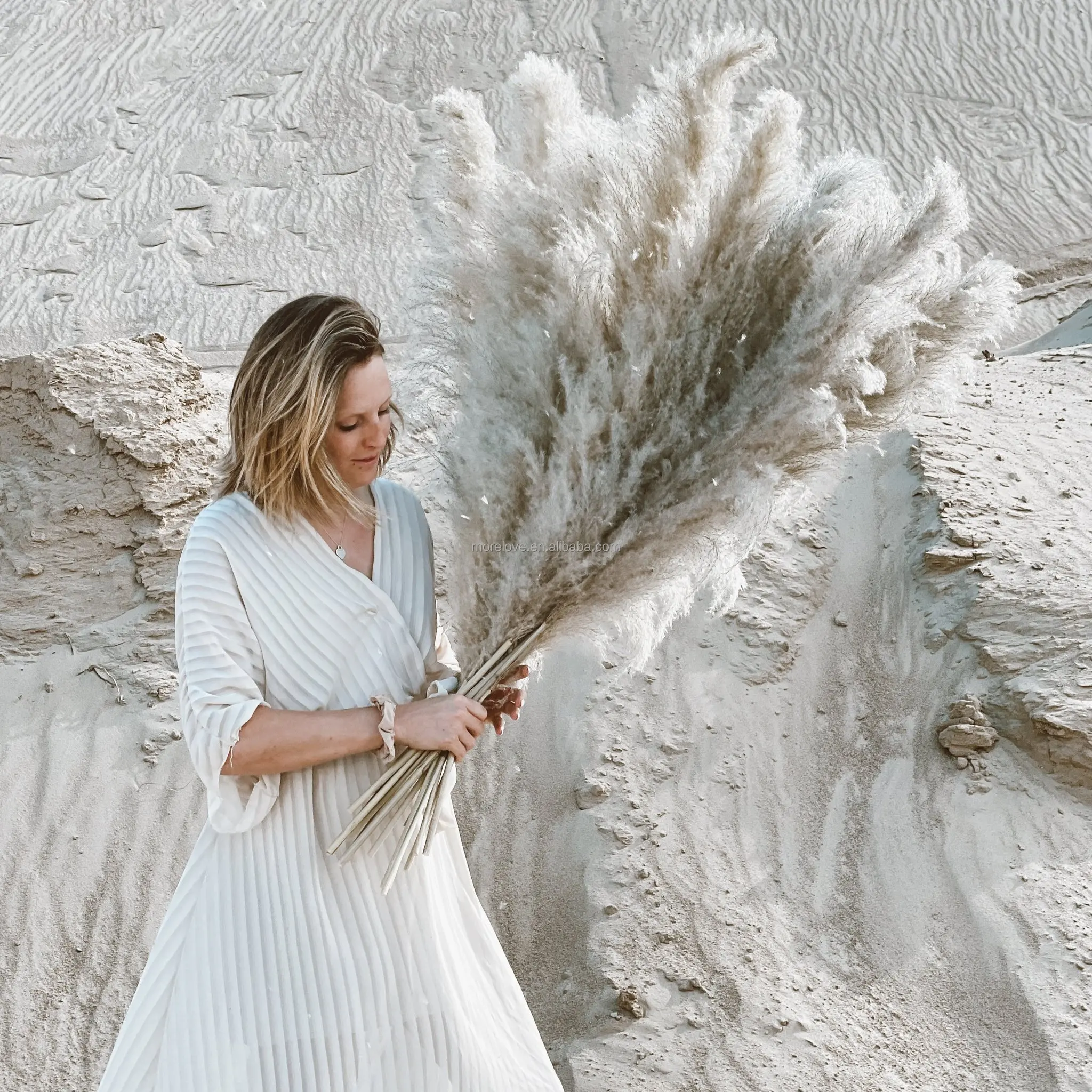 Wholesale Natural Dried Pampas Grass Decorative Flower Best Natural Real Dried Pampas Grass bouquet for wedding decor house deco