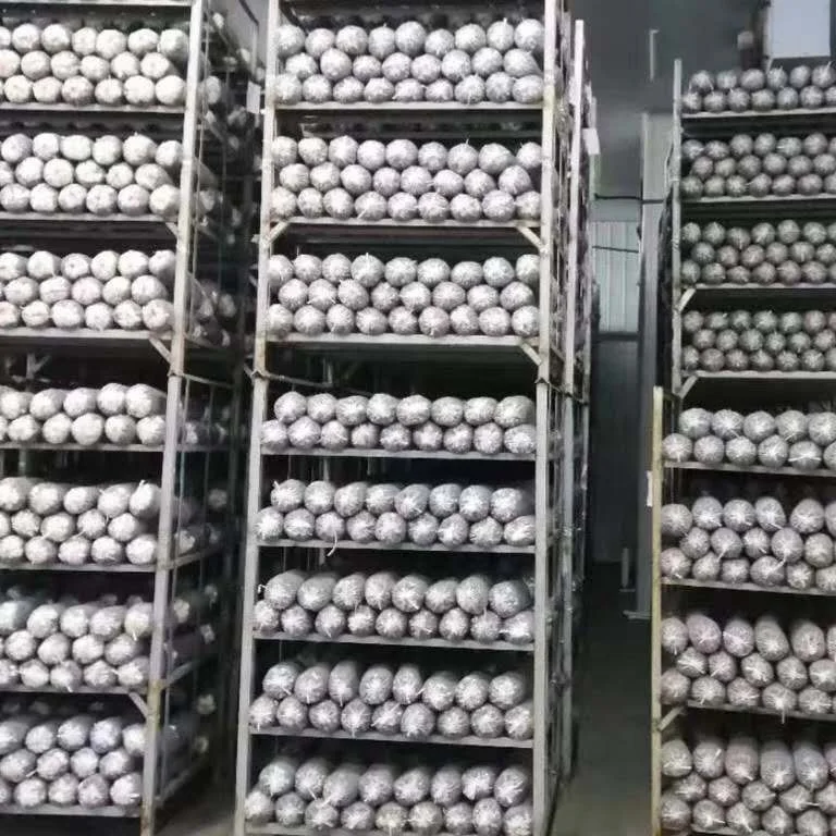 White Dried Grey Oyster Mushroom Cultivation Oyster Mushroom Sticks For Sale