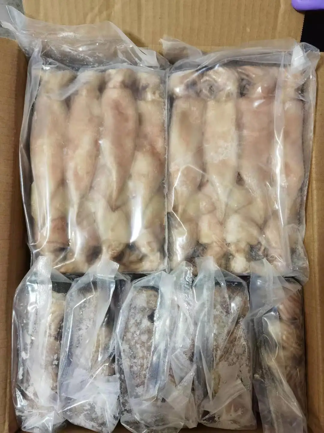  Frozen 20-60 g Todarodes Pacificus