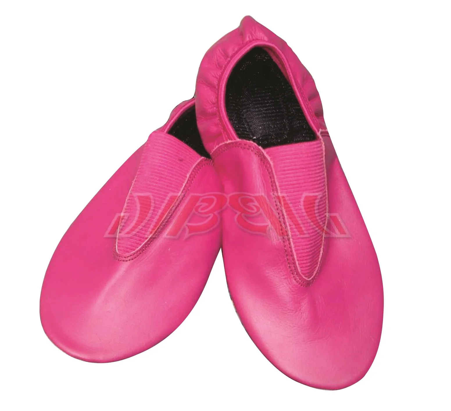 Pro Gym Shoes Leather Gymnastics slippers shoe