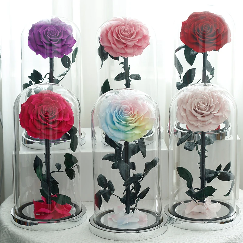 Factory production Customized unfading rose wholesale preserved rose in glass