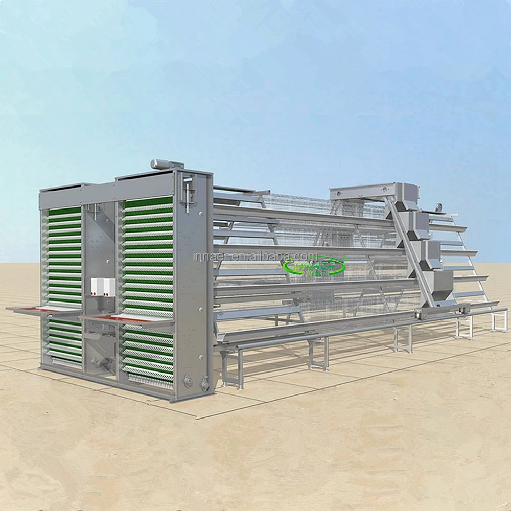 A hen cage for chicken farm Nigeria and Ghana in Africa