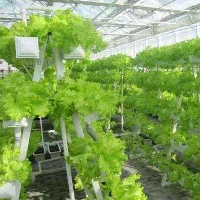 
Hydroponics Nft System ,Vertical Hydroponic Growing Systems PVC Tube Plant Vegetable 