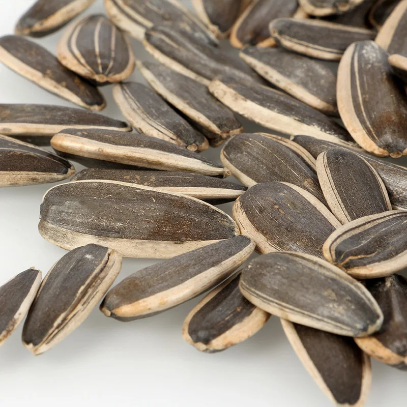 Inner Mongolia High-end Quality Export Melon Seed Office peeled sunflower seeds