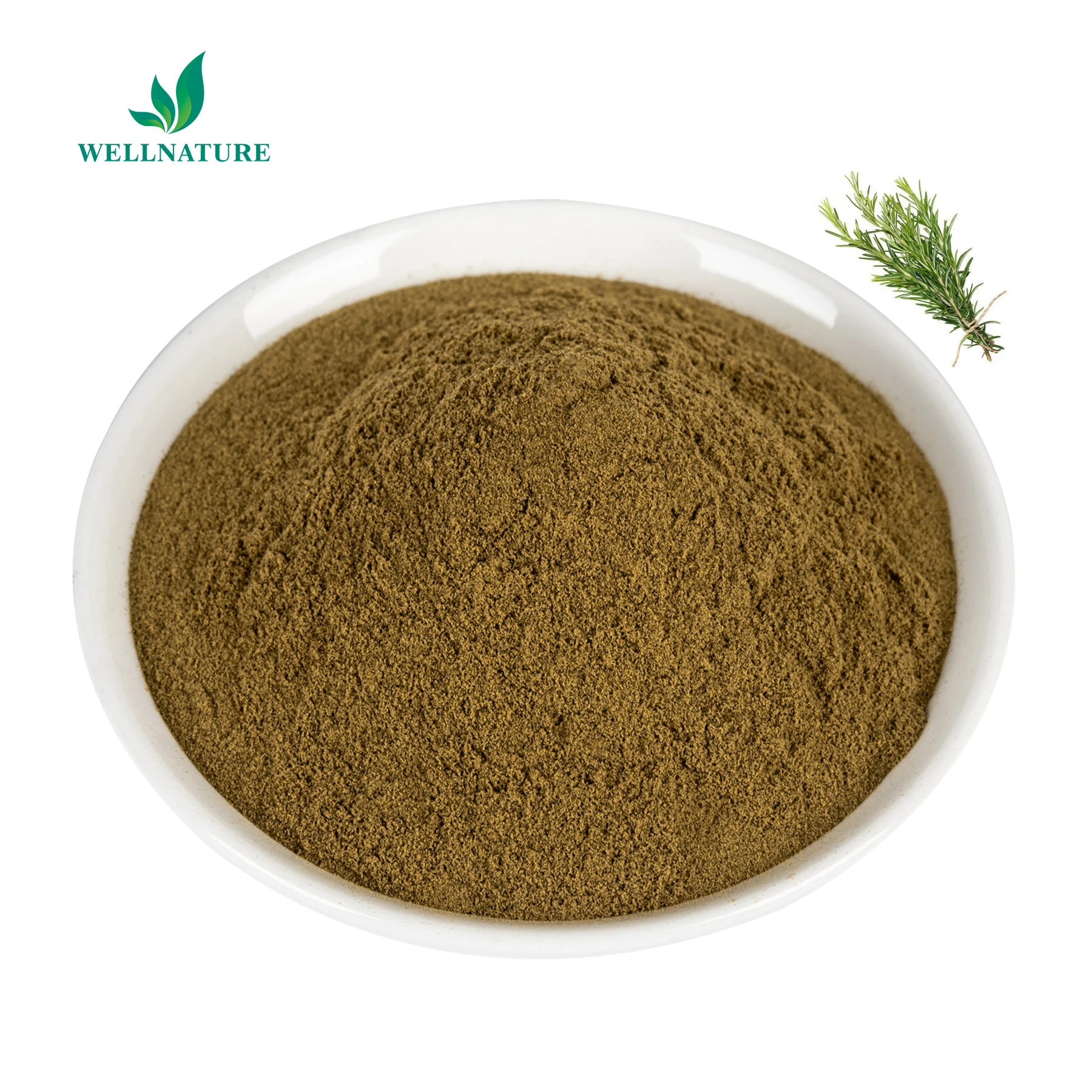 Rosemary Extract Powder High Quality Rosemary Extract Rosmarinic Acid 35% Extracto De Romero Factory Sale Direct High Quality