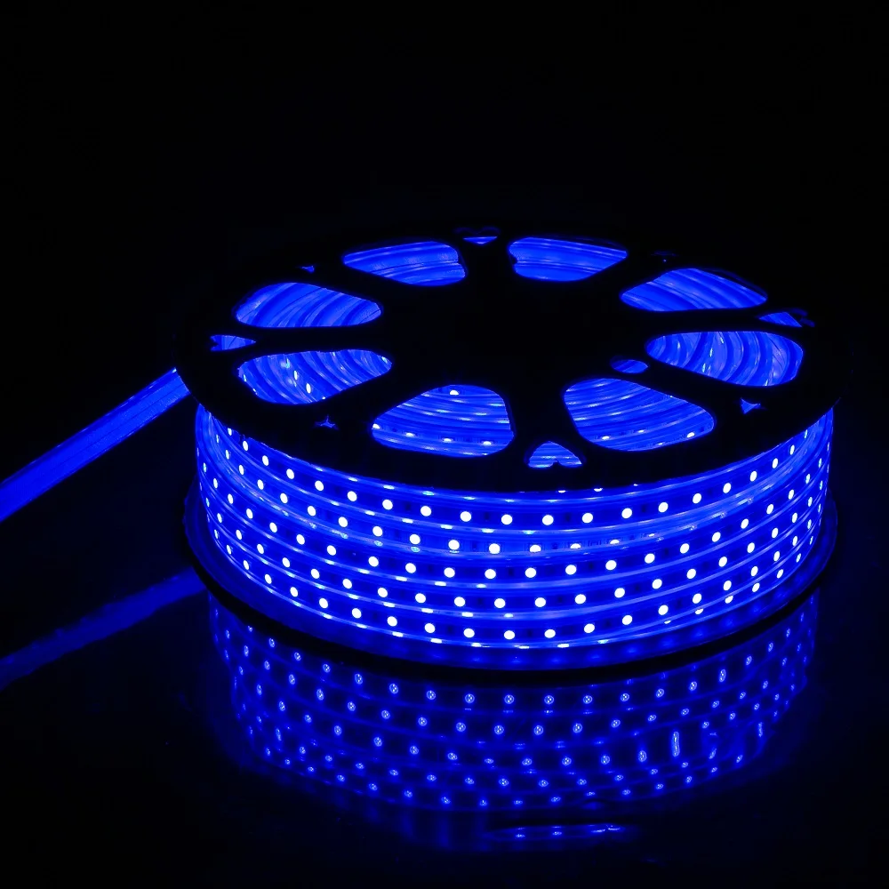 AC Power 110V 220V 120 Leds SMD2835 Flexible Tape Light Waterproof Led Strip Lights for Hotel Home Office Decoration Lighting