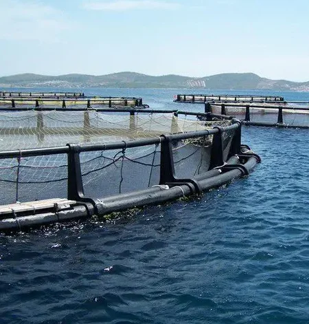 Китай высокое качество hdpe трубы и фитинги HDPE кронштейн Pontoon рыбья сетка клетка плавающая Тилапия рыбоводная