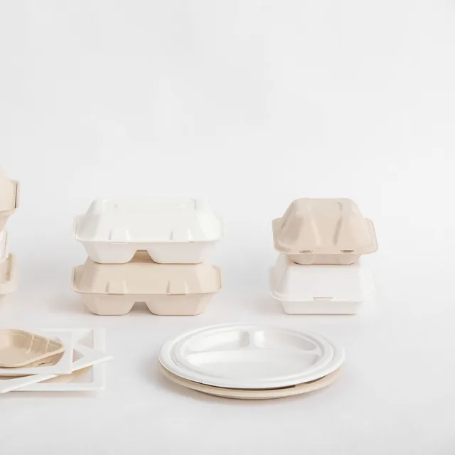 
Eco Friendly 100% Biodegradable Plate/Tray/Bowl/Clamshell container Disposable tableware 
