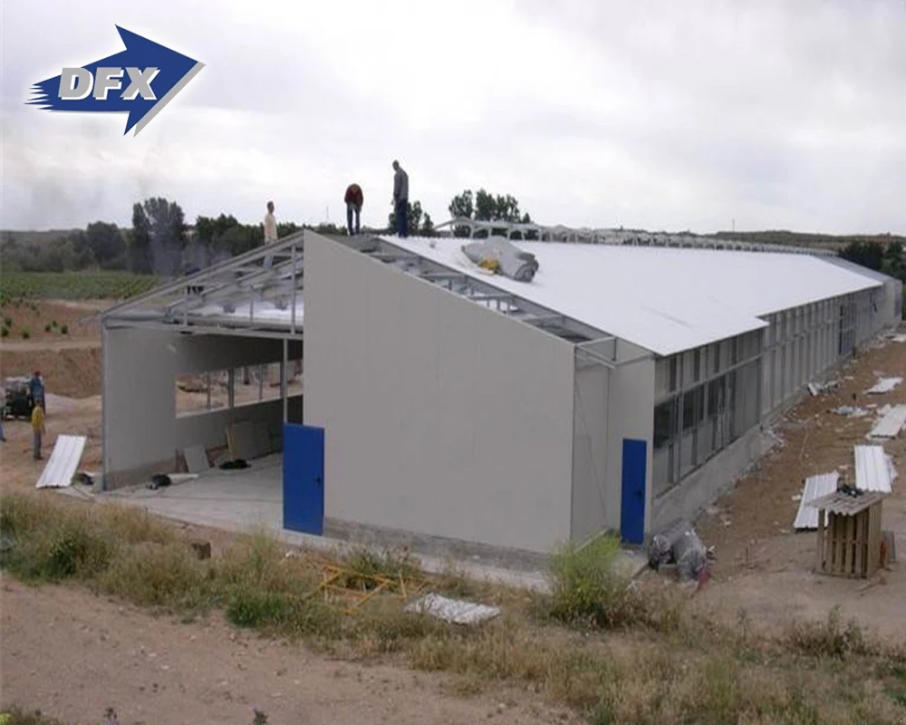 Low Cost Prefab Steel Structural Chicken Cow Pig Cattle Dairy Farm Building House Sheds Ready Made Poultry Farm Design