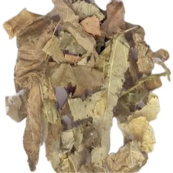 
Epimedium grandiflorum Icariin 5% 10% 20% 50% 98% 