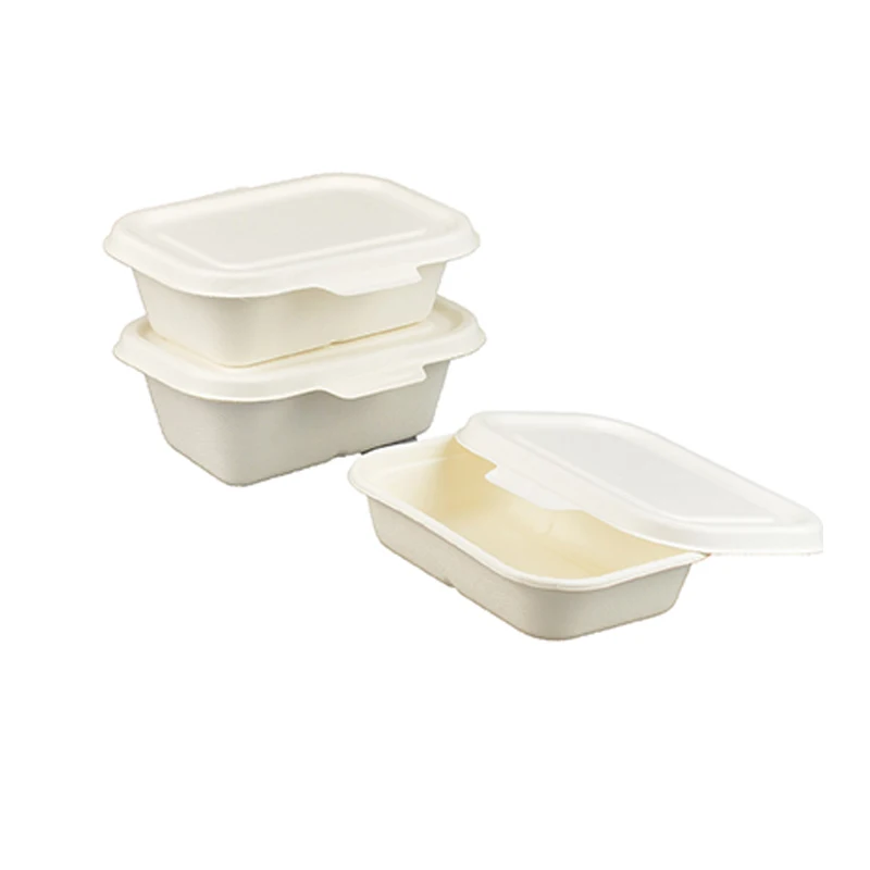 Biodegradable environmental protection bagasse food tray with lid compartment for taking out lunch box