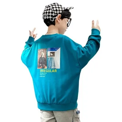 High quality Design fashionable clothing fall long sleeve hoodie  for boy