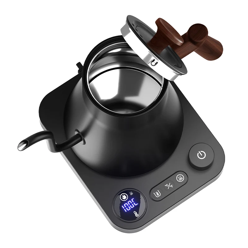 Electric Tea Pot Kettles with Temperature Control - Stainless Steel Coffee Teapots Kettle and Electric Teapot Pour Over 1L