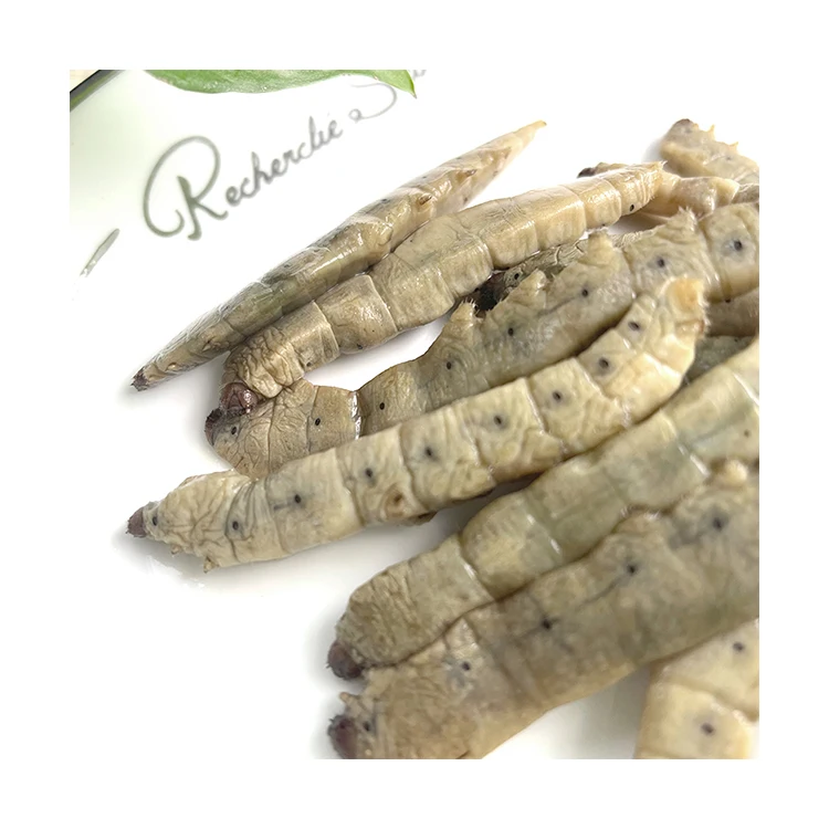 High Protein Larvae Quality Worms Bait Edible Insects Eco Fresh Silkworm Worm
