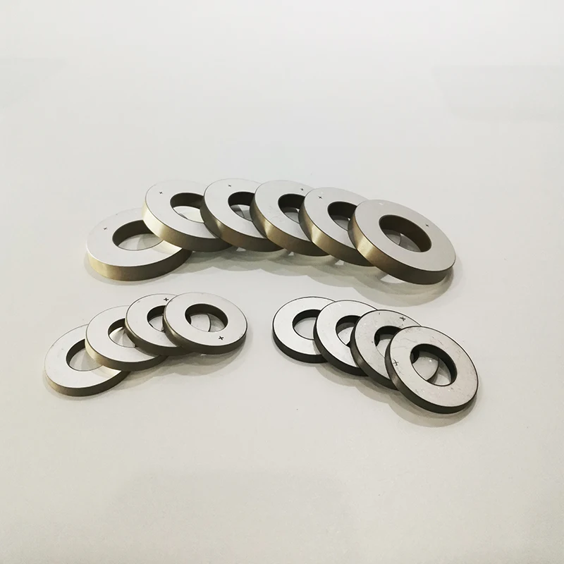Ultrasonic Piezoelectric Ceramic Disc Piezo Ceramic Plate Piezoceramics Ring