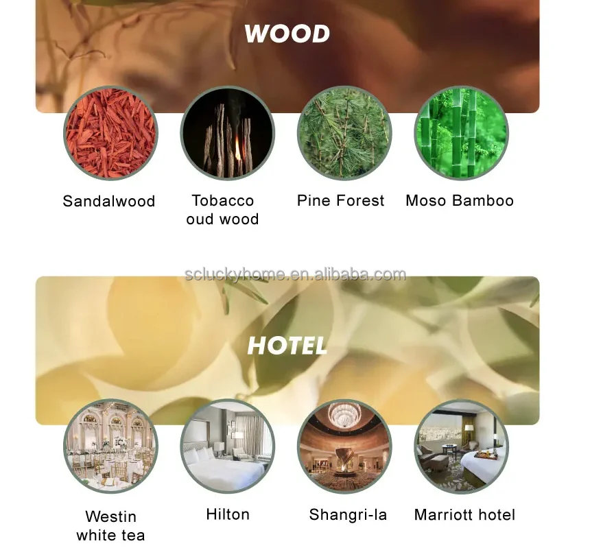 Wonderful Various Color Glass Reed Diffuser with Sticks Ribbon luxury car scents hanging freshener perfume car