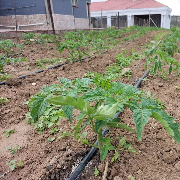 4000m 1 hectares drip irrigation system full kit small farm fruit and vegetable agriculture 16mm 20 mm greenhouse drip tape