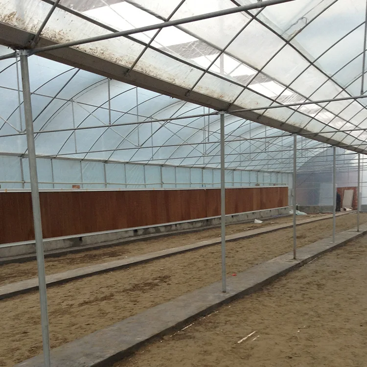 Automatic Multi Arch Multi-span Agricultural Greenhouses With Hydroponics Equipment Greenhouses