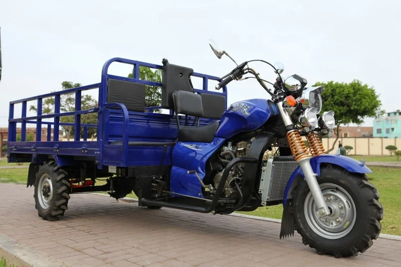 Chinese motorized gas powered three wheel cargo tricycle for farming