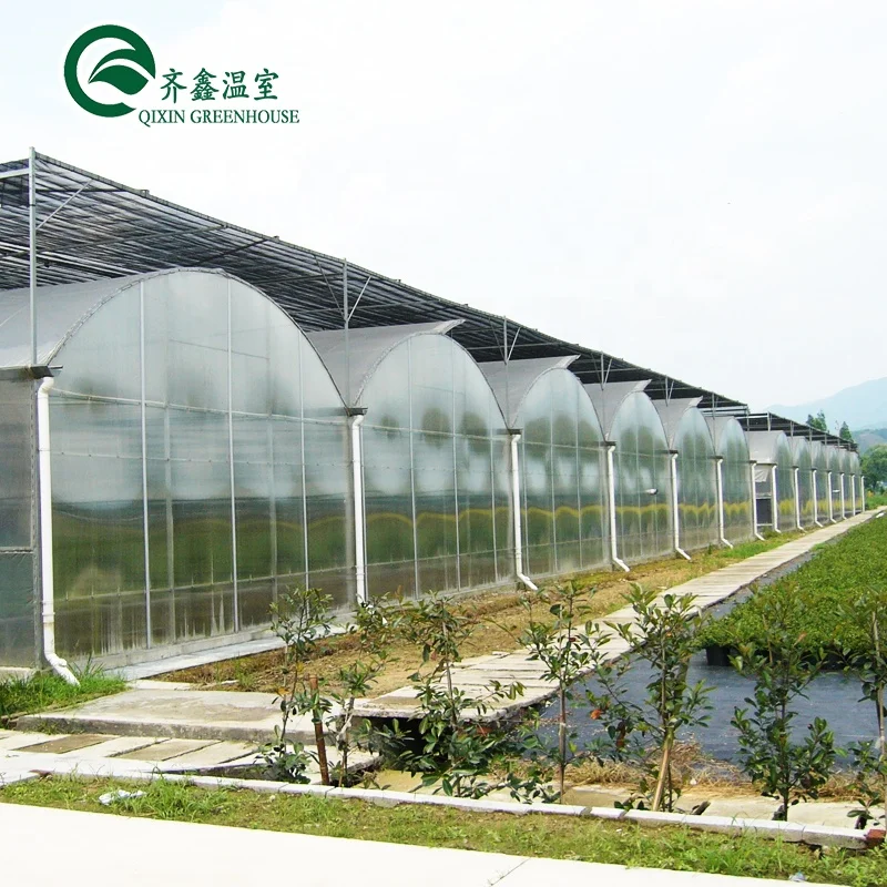 greenhouse aquaponics hydroponic growing systems