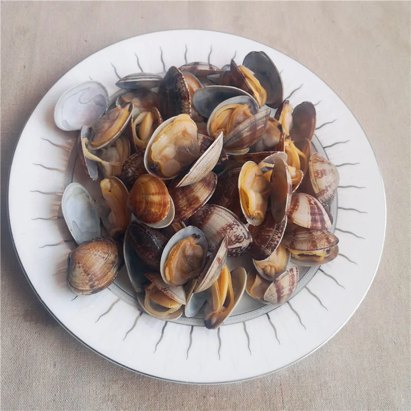 clam with shell (38).jpg