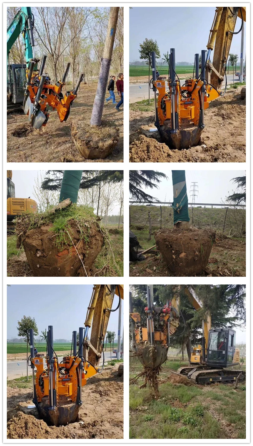 Hydraulic tree digger ball seedling trans planter tree mover machine use for skid steer wheel loader excavator backhoe