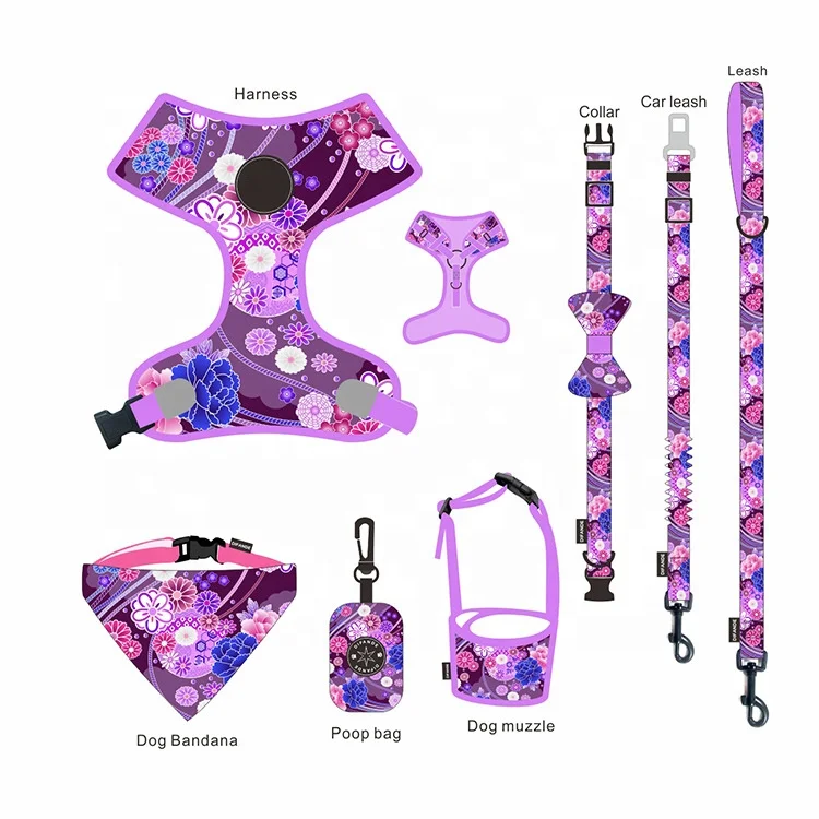 OEM/ODM Personalized Pet Accessories Print Reflective Reversible Quick Release Padded Polyester Pattern Dog Harness Set
