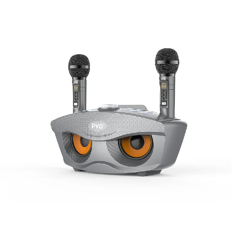 30w Bass Sound Family Ktv 2-in-1 Portable Karaoke Wireless Speaker With Dual Microphone Owl Speaker