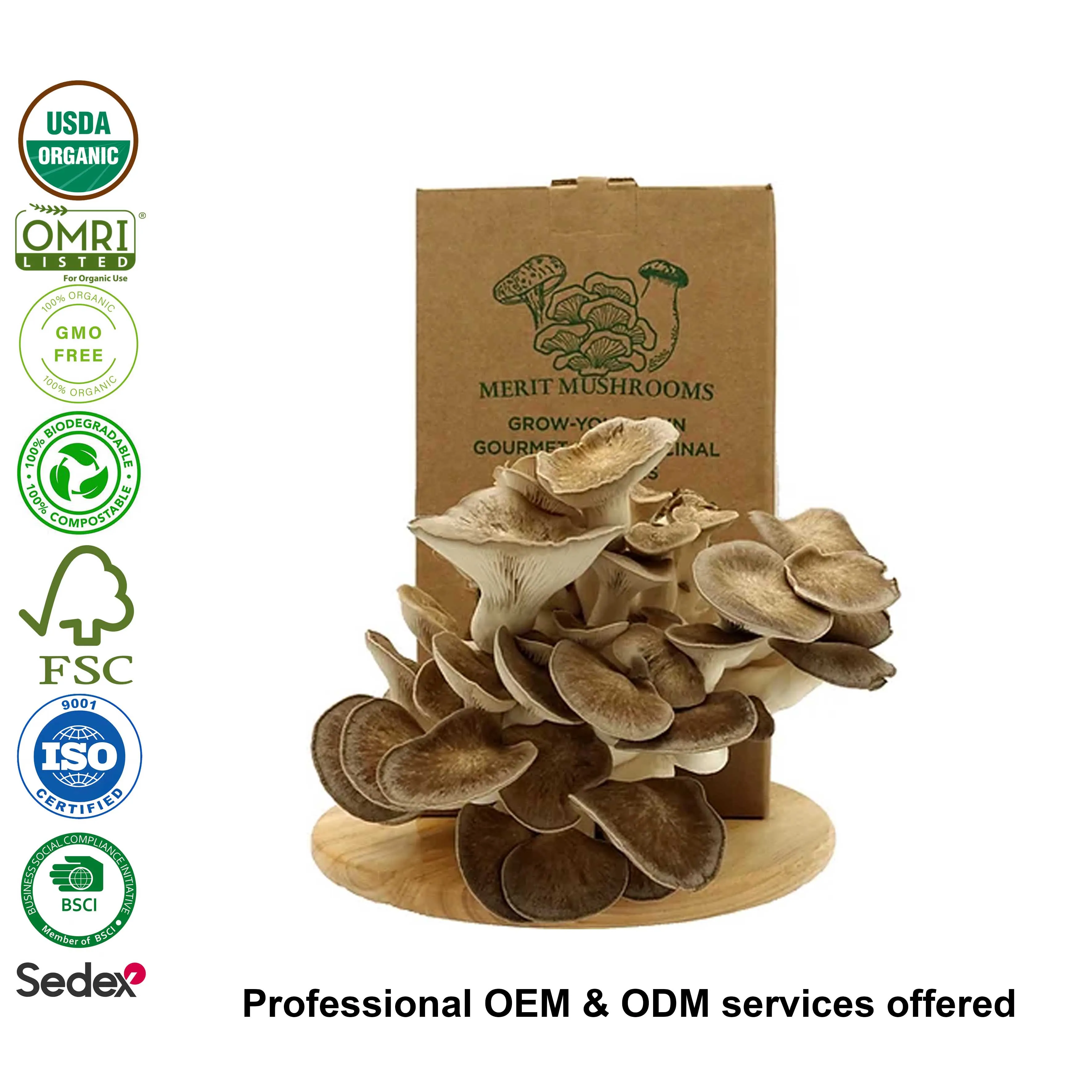 Короткий срок доставки большой черный жемчуг «спрей и рост» Набор для выращивания устриц грибов стартовый набор для выращивания почвы растений