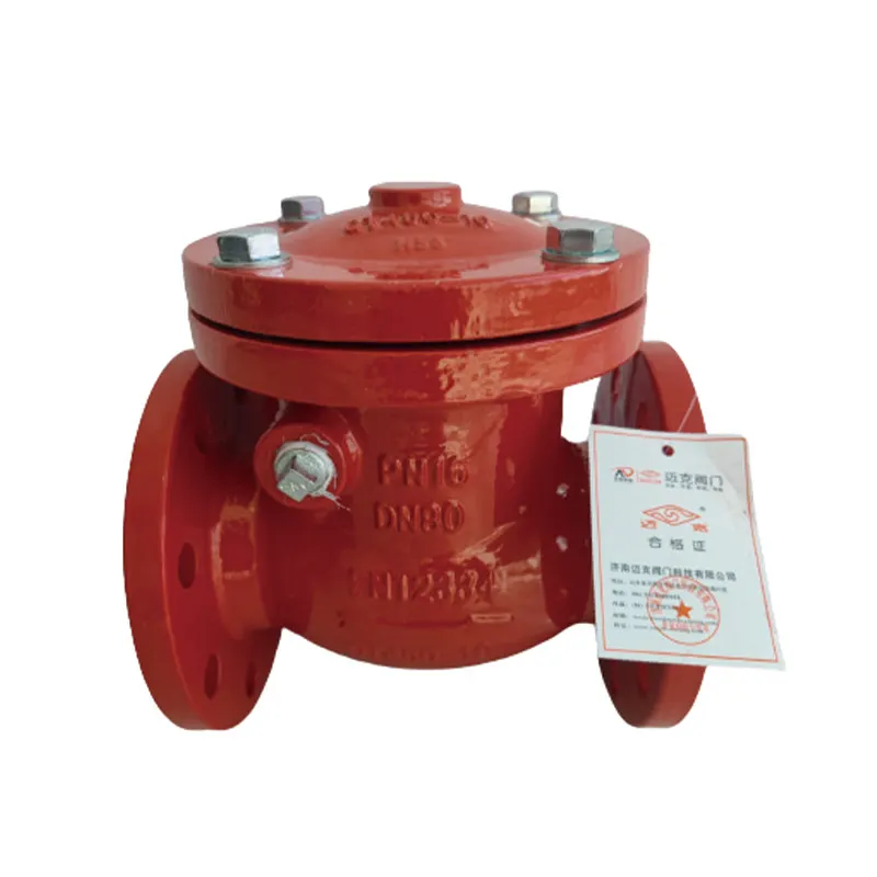 wholesale check valve Flange swing check valve Red fire pipe check valve PN16 pressure