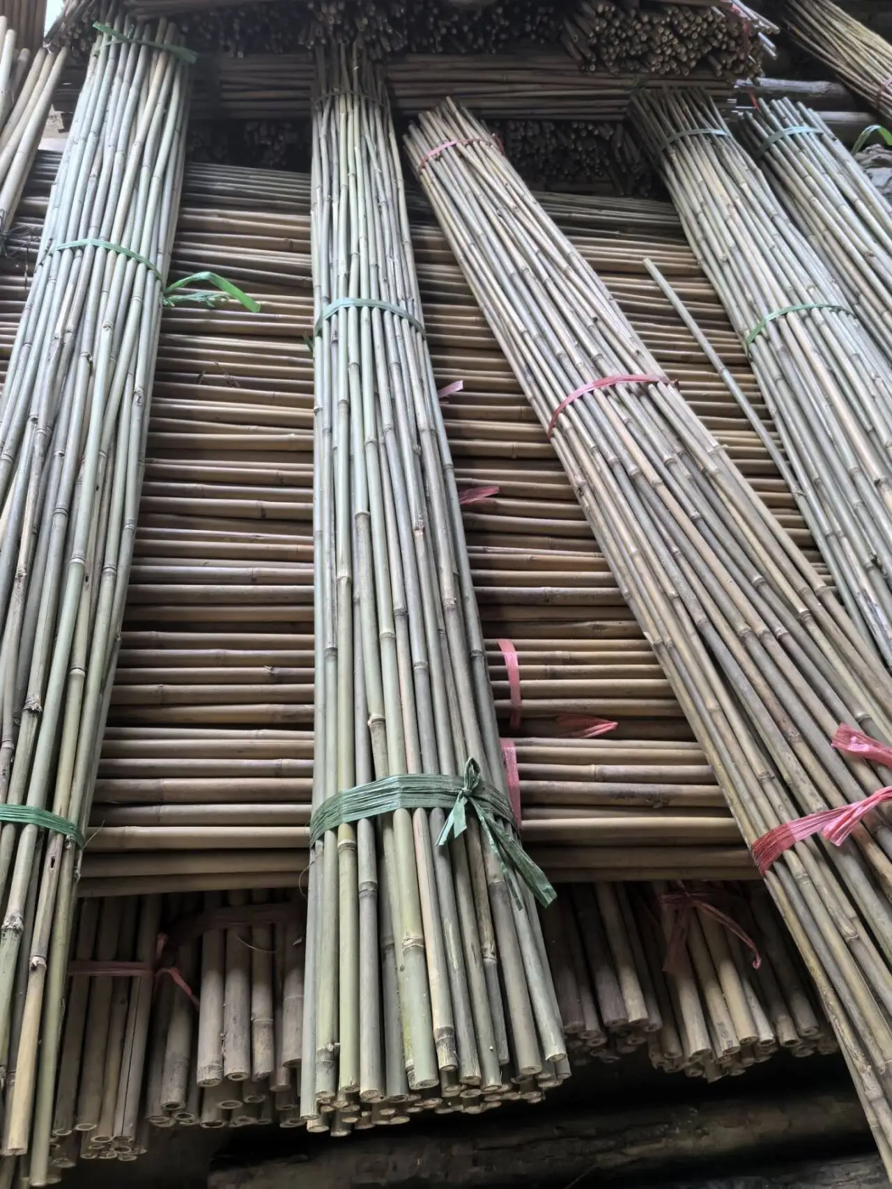 Wholesale Natural Dry Straight Raw  Bamboo plant support