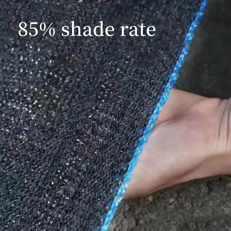 Wholesale Best price HDPE plastic Anti UV Black shadow network Garden sun shade mesh 60% 3 x 100 m shade net for agriculture