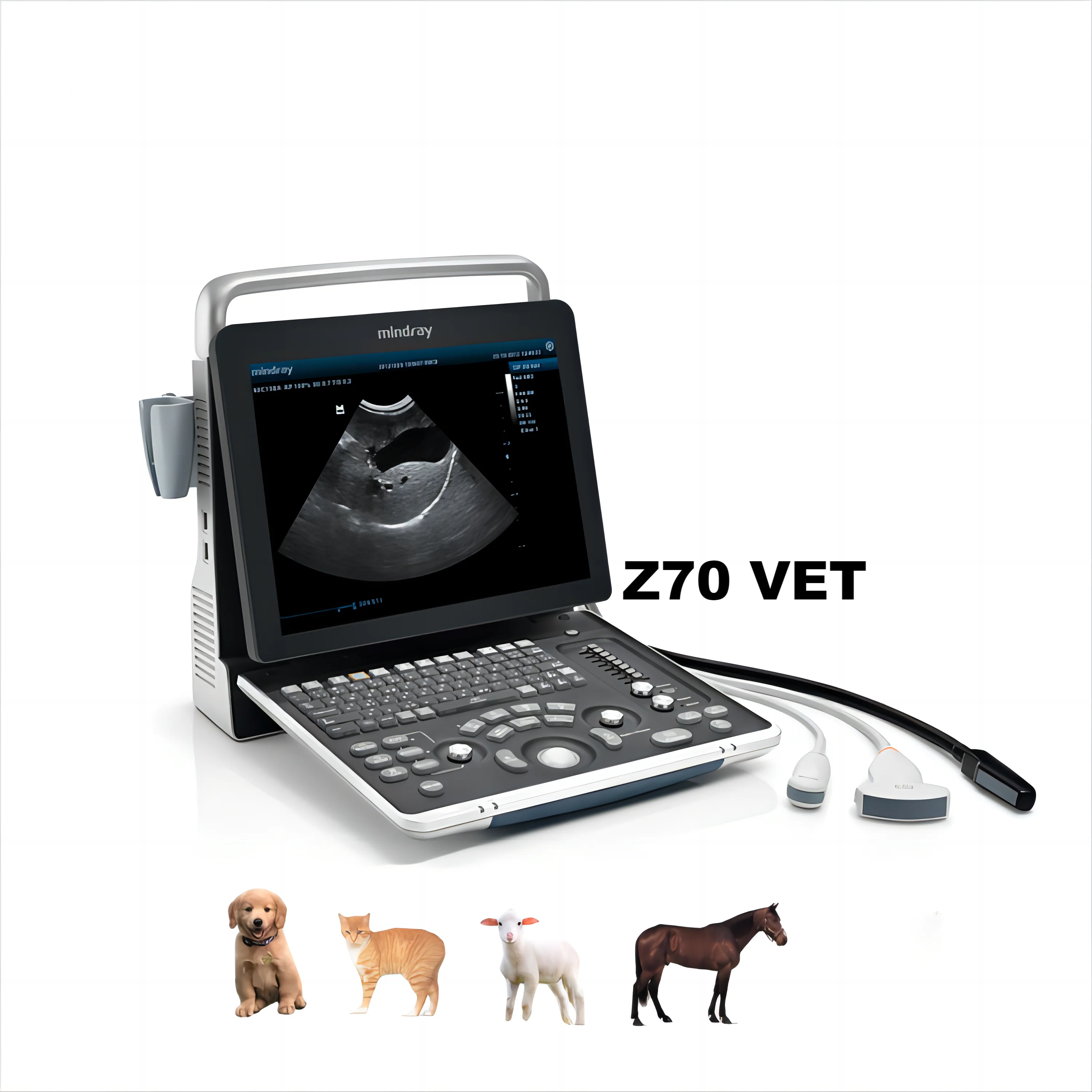 Mindray Veterinary dp20/30/50vet Z70 vet black white Ultrasonic Device PW function eco ultrasound scanner with Mic-convex probe