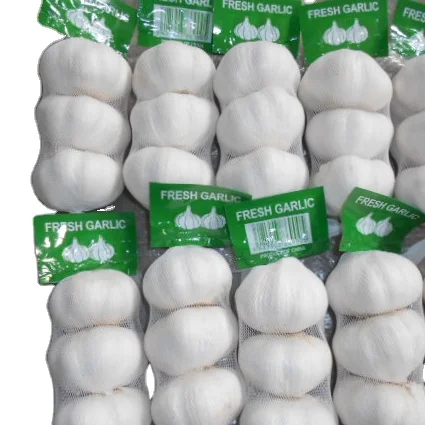 Alho Fresco for Brazil EU Africa from China garlic processing plant