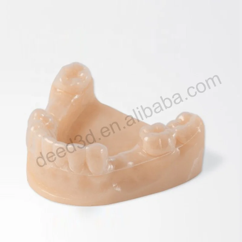 Custom Silicon Resin Mold Rapid Prototype Custom 3D Print Oral Teeth Dental Model 3d Printing Supplier
