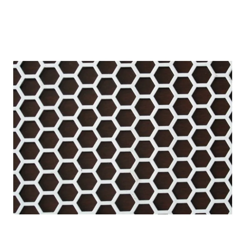 Customized stainless steel oval perforated metal screen door mesh