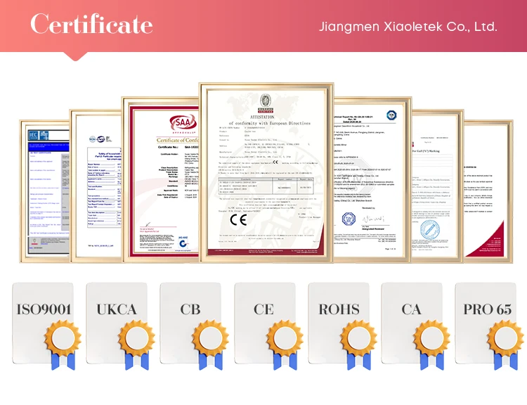 Professional White 4L Portable Beauty Mini Fridge Electric Home Use Skin Care Small Refrigerator With USB Cable