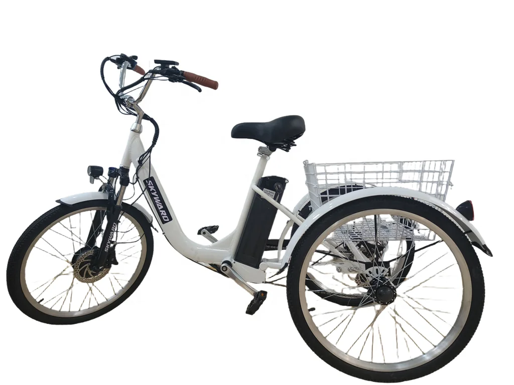 Best Selling 3-Wheel Family Electric Cargo Bike 350W Motor Powered with 48V Lithium Battery  Carrier Position