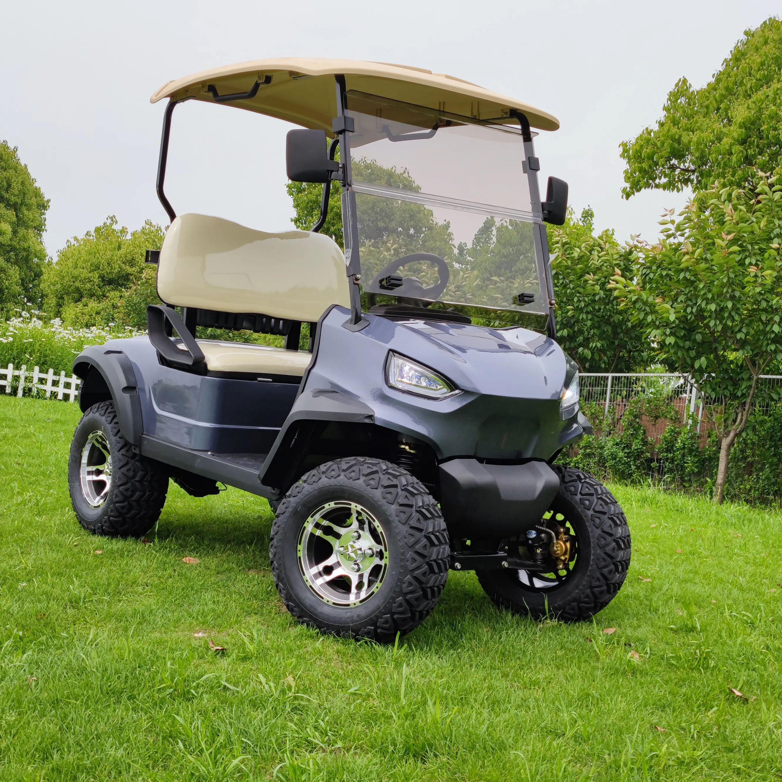 Golf car  New Golf Electric Cart  48V/72V Lithium  2 Seats  mini car golf car  F4GH20A