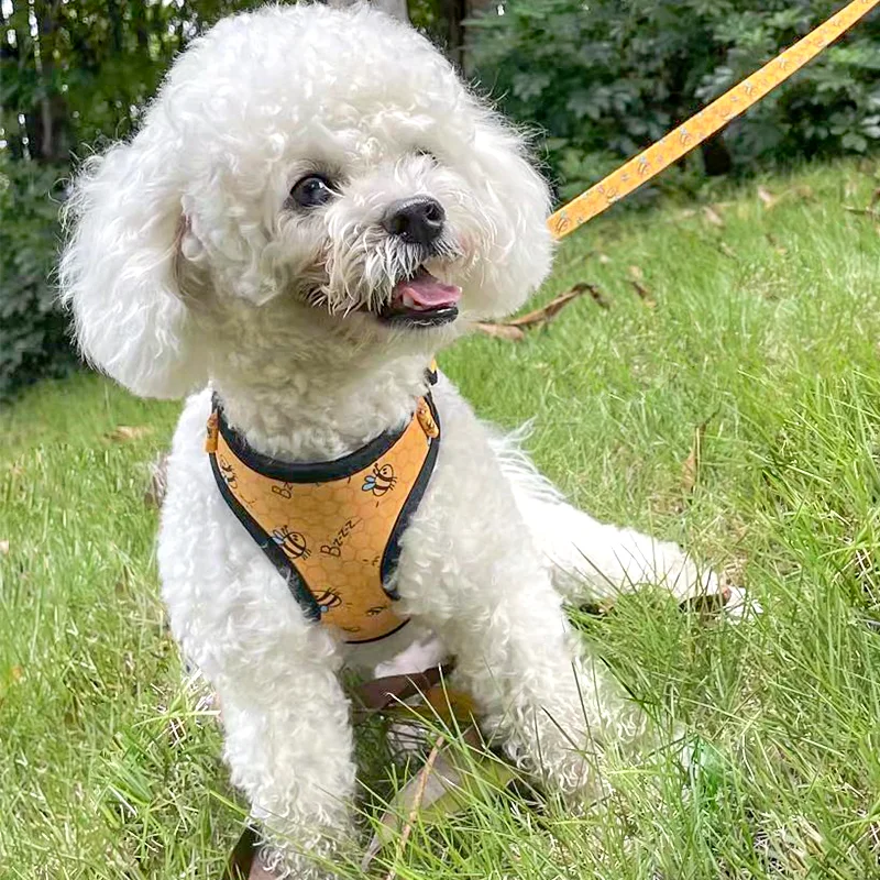 All size and color free design soft mesh pet vest yellow bee dog harness for small medium dog